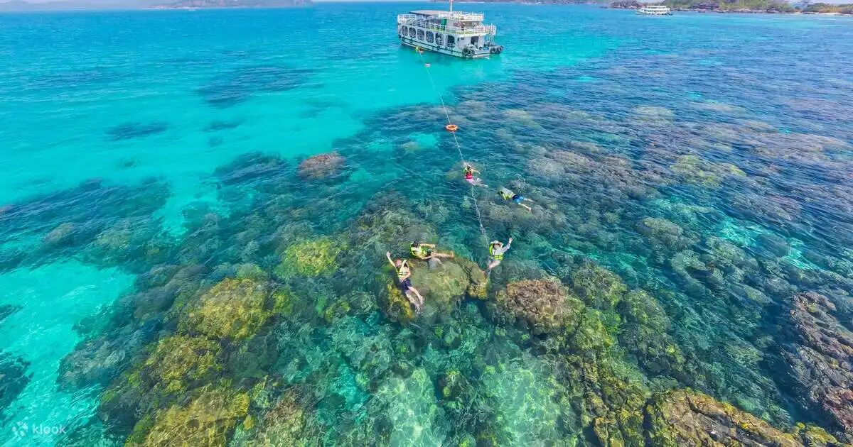 Discover marine magic with Vietnam Travel